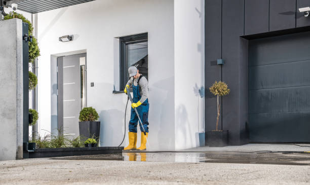 Best Fence Cleaning and Maintenance in Richwood, WV
